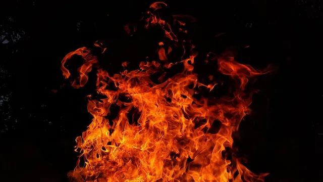 Димът от горски пожари е далеч по-опасен, отколкото се смяташе досега