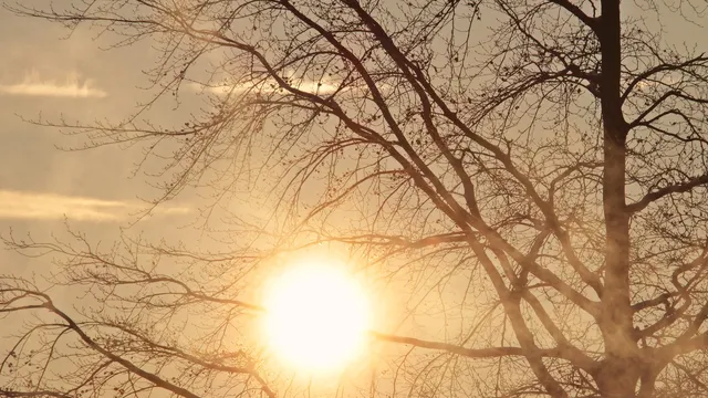 Днес ще бъде слънчево и горещо