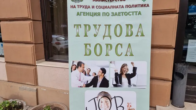 Почти 11 500 младежи са започнали работа от началото на годината