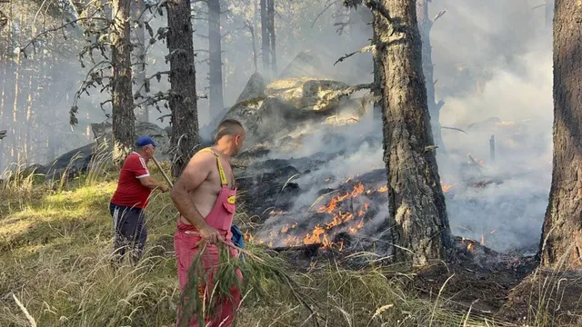 Горски пожар е избухнал в Национален парк "Рила"