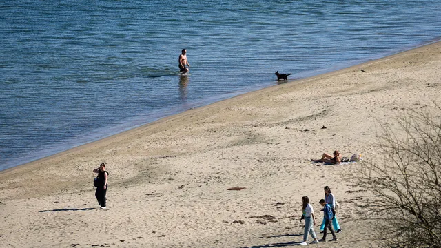 Слънцето ще пробие облачността днес