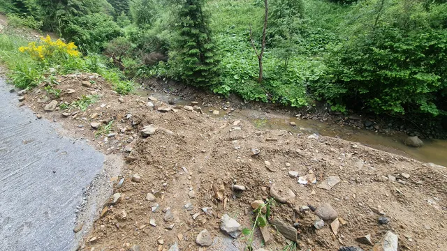 Откриха човешко тяло в парк в Смолян