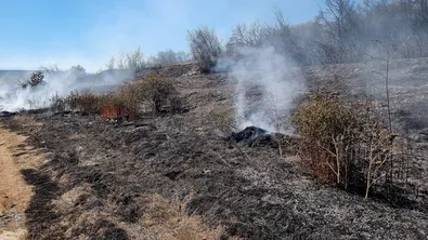 Пожар в защитена местност край Тутракан