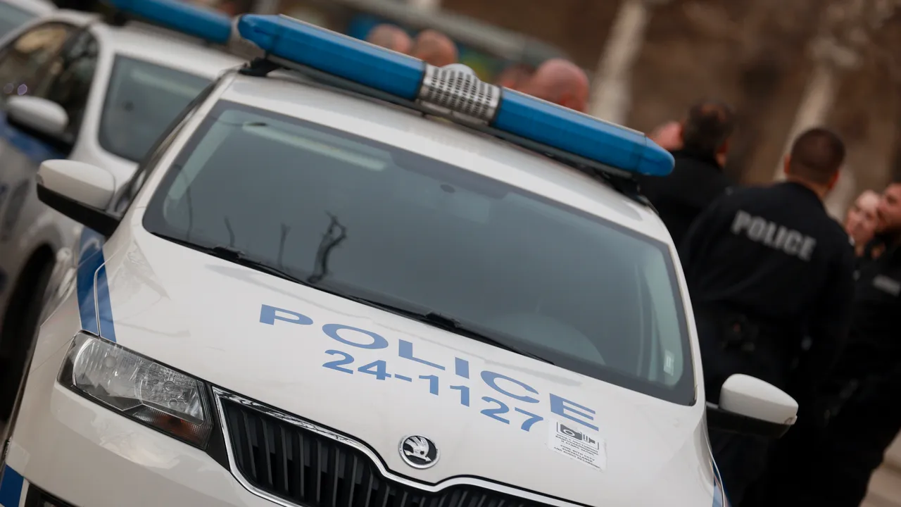 Спецакция в Плевенско: ГДБОП откри „гора“ от канабисови дървета