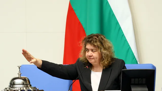 Киселова: Всяка парламентарна група има право на мнение