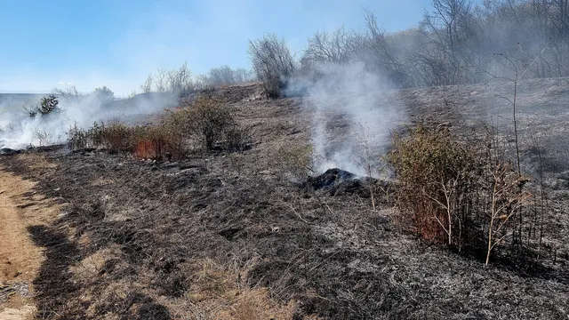 Пожар затвори пътя между Гълъбово и Раднево