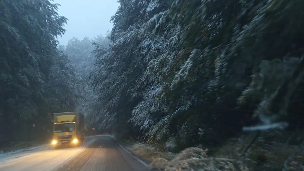 Първи сняг на Петрохан