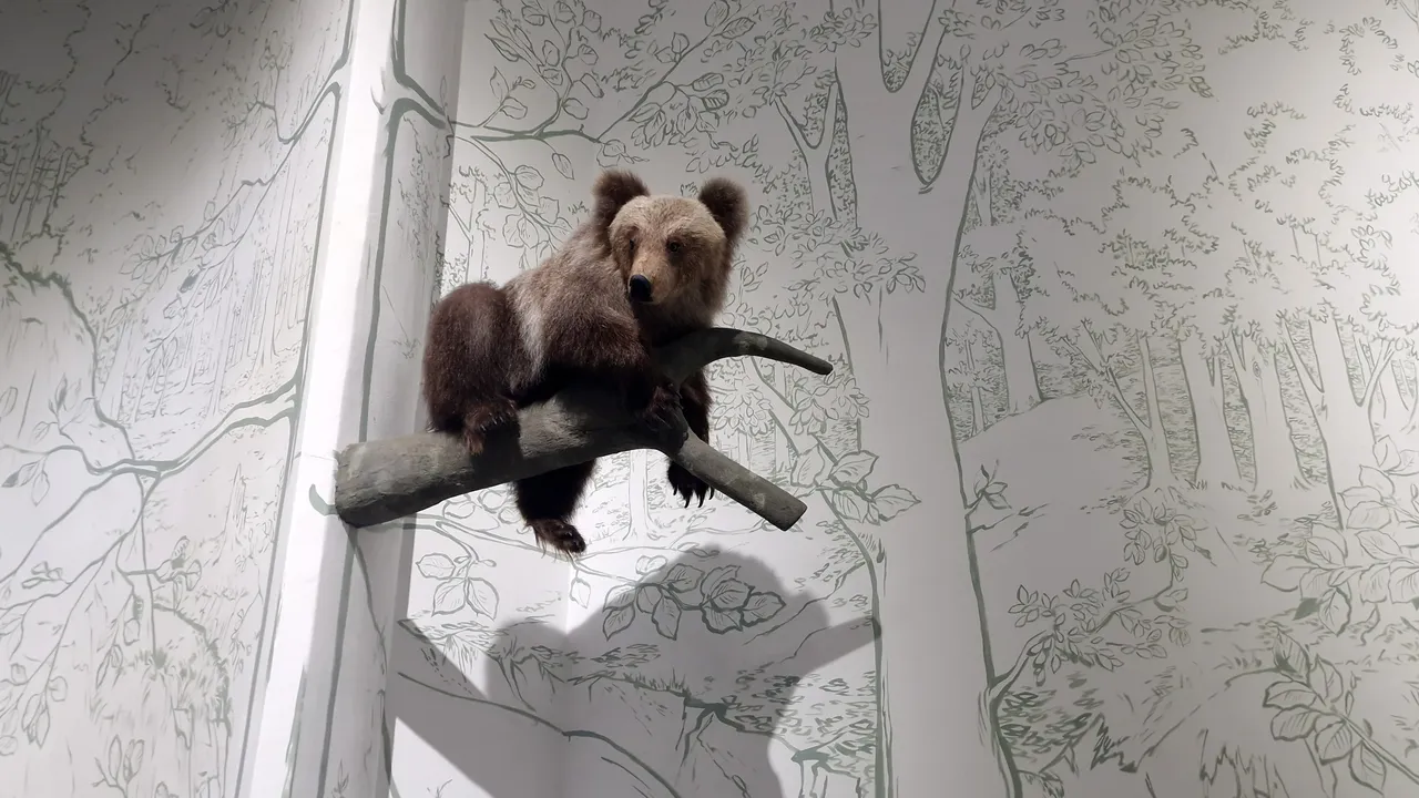 Мечето, спасено край Смолян, не успя да оцелее