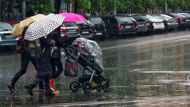 От Института за пътна безопасност изпратиха писмо до кмета Терзиев