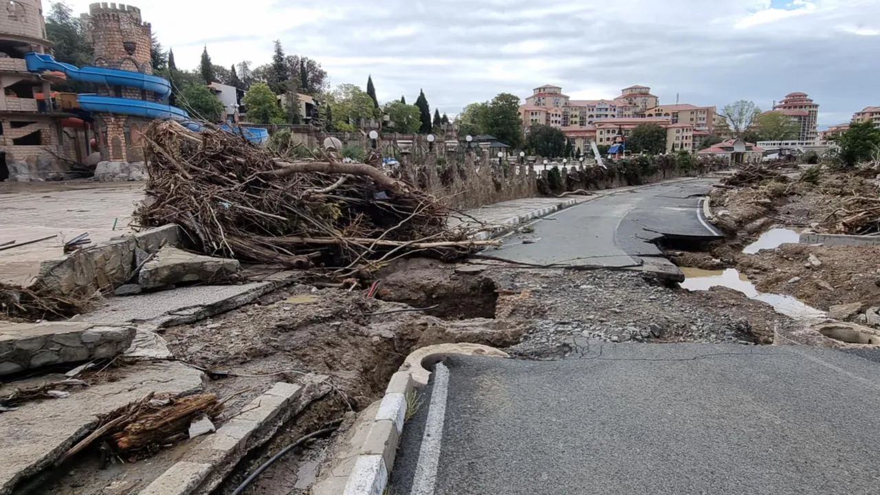 Каква е схемата, довела до трагедията в "Елените"