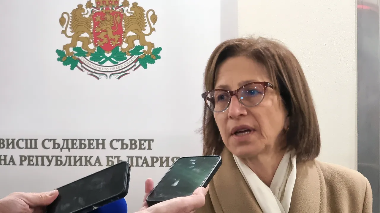Съдия Дишева:  Съдия Мариника Чернева е избрана законно за и.д. председател на ВАС