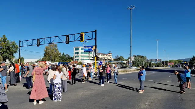 Отсечени дървета при 90-дневния ремонт на „Топлофикация“ в „Дружба-2“