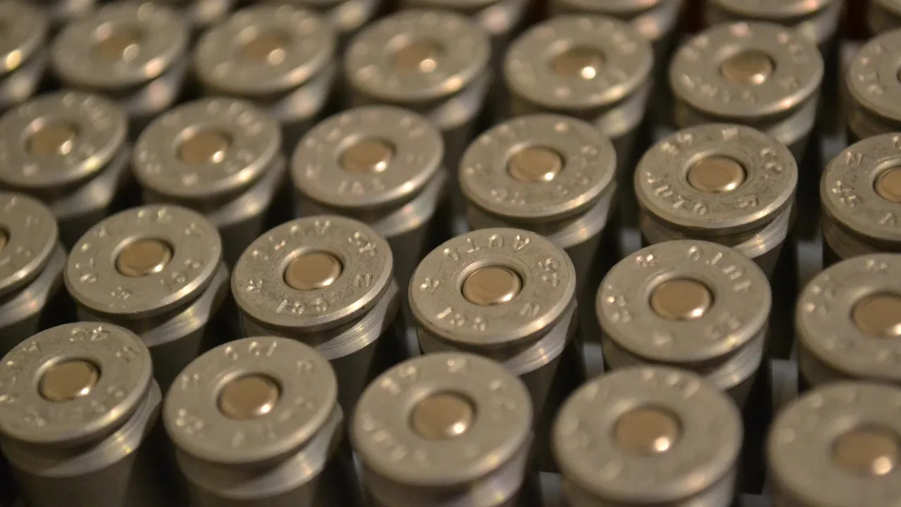 Откриха 300 незаконни патрона в имот в Кюстендилско