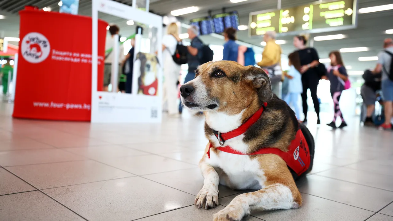 КЗП: Има нарушения на Летище "Васил Левски" - София