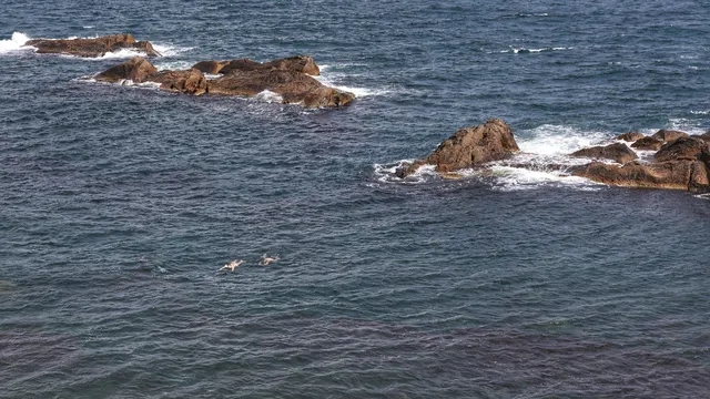Газовото богатство на Черно море може да преобрази българската икономика, показва ново проучване