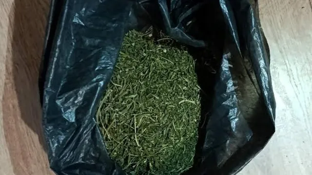 28-годишна жена арестувана с над 1,6 кг марихуана в Стара Загора