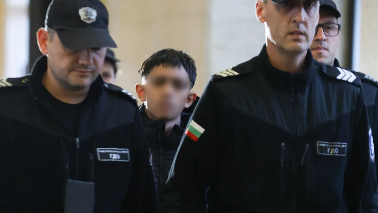 Съдът остави в ареста 15-годишния, обвинен за убийството в софийски мол