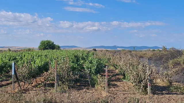Владимир Иванов: България има климат и почва да изхранва 30 млн. души