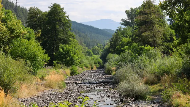 След протести: Кметът на Елин Пелин увери, че няма да застрояват коритото на р. Габра