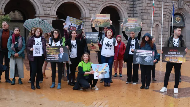 Природозащитна организация настоява за закупуване на самолети за гасене на пожари