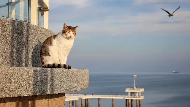 Слънцето се завръща, вятърът намялва