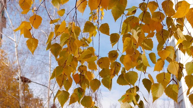 Топъл старт на ноември: До 23 градуса и слънце в неделя