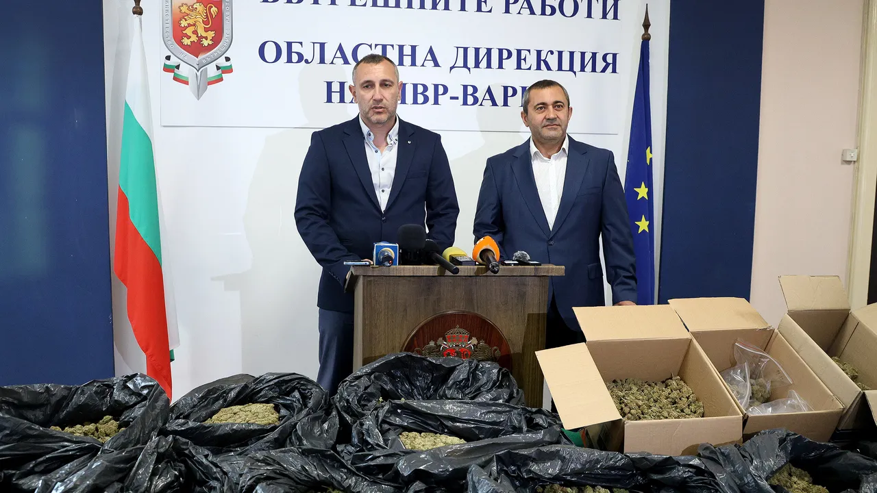 Стефан Бакалов: Сегашната марихуана е много по-силна от тази, разпространявана преди десетилетие