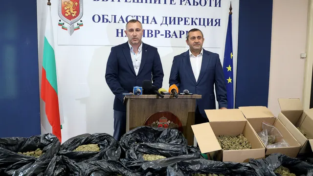 Стефан Бакалов: Сегашната марихуана е много по-силна от тази, разпространявана преди десетилетие