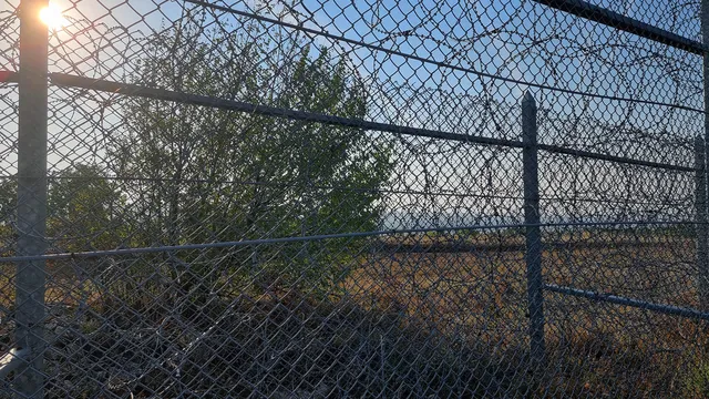 МВР отчита лек спад в броя на мигрантите, желаещи да влязат в страната