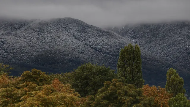 Издирват жена в района на Северна Витоша