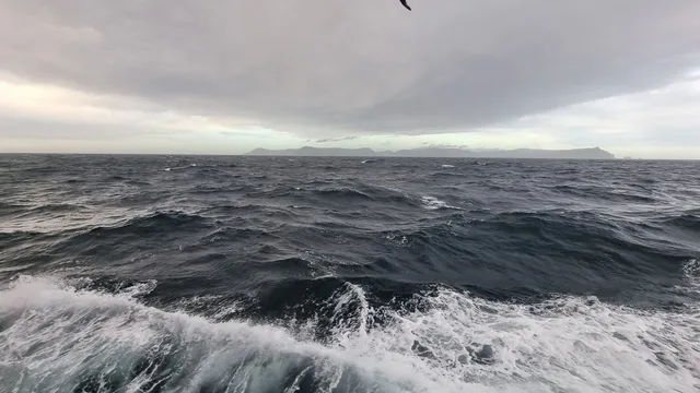 Земетресение предизвика слабо цунами в Япония