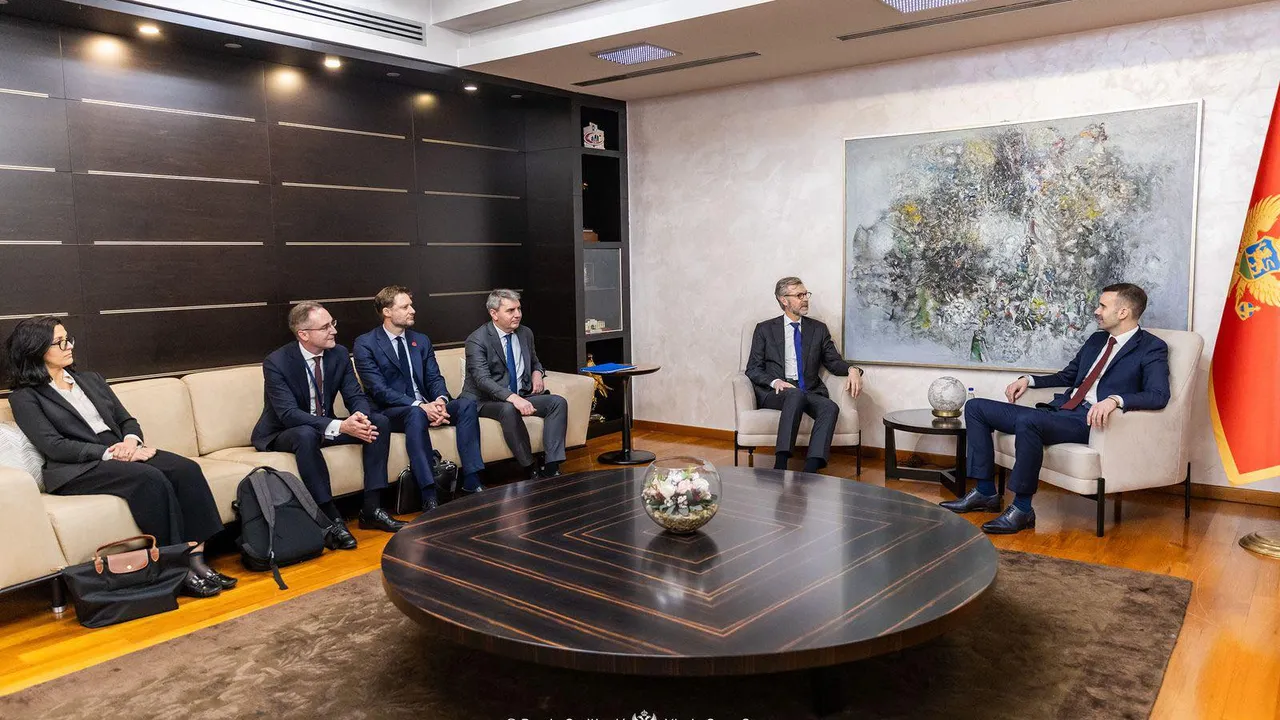 Черна гора и ОАЕ сключиха енергийно партньорство