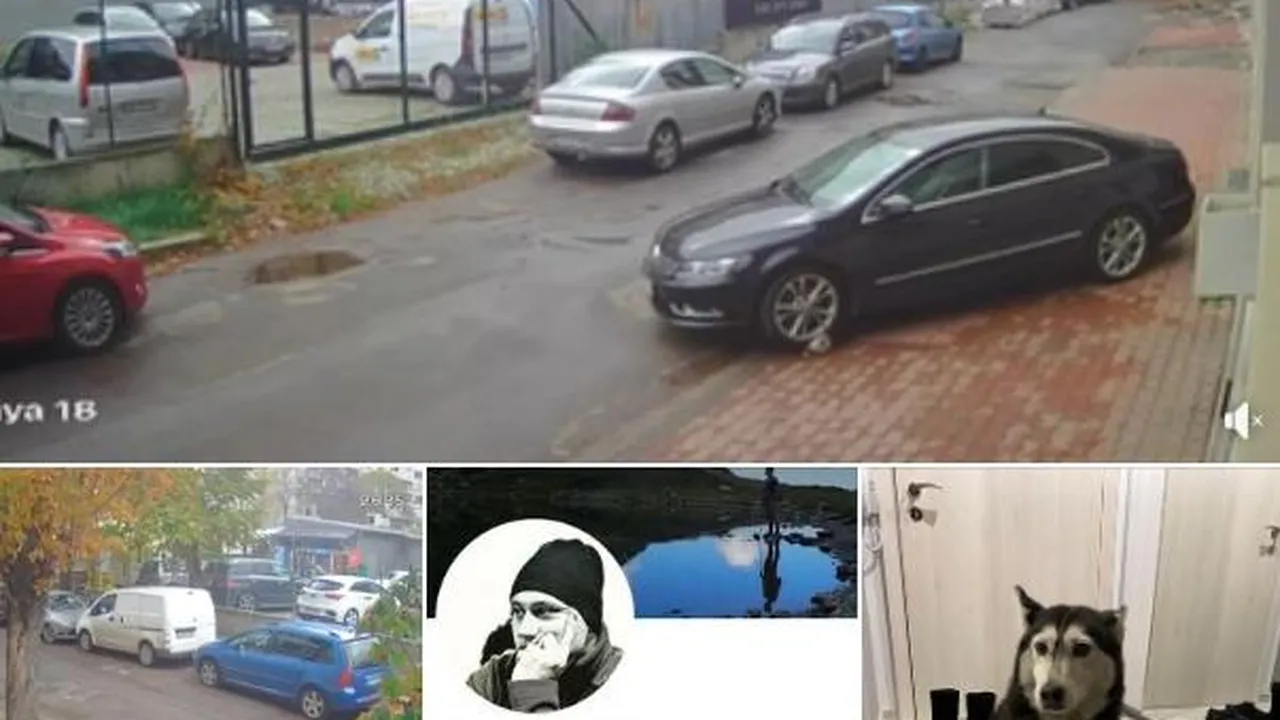 „Прегази я и слезе да провери“: Лекар от София обвинен в умишлена жестокост към куче (ВИДЕО)