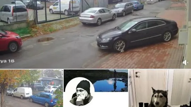 „Прегази я и слезе да провери“: Лекар от София обвинен в умишлена жестокост към куче (ВИДЕО)