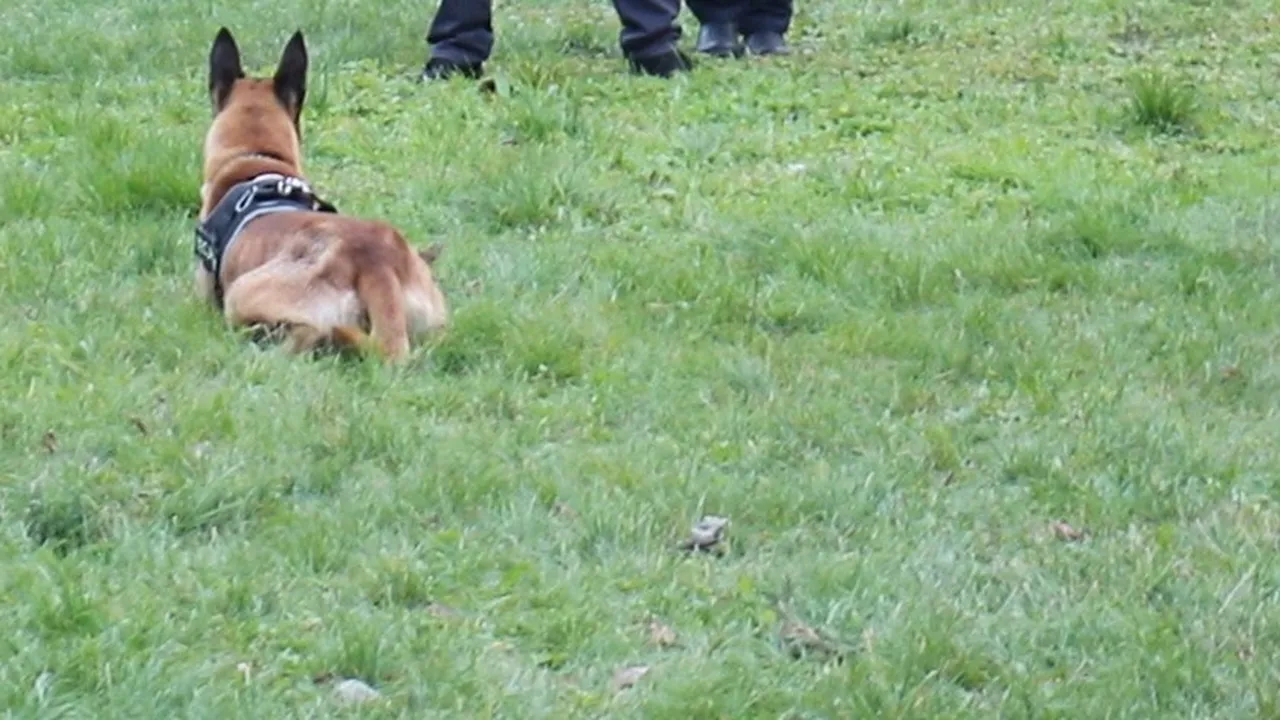 Прегазено при маневра куче извади на протест жителите на столичен квартал