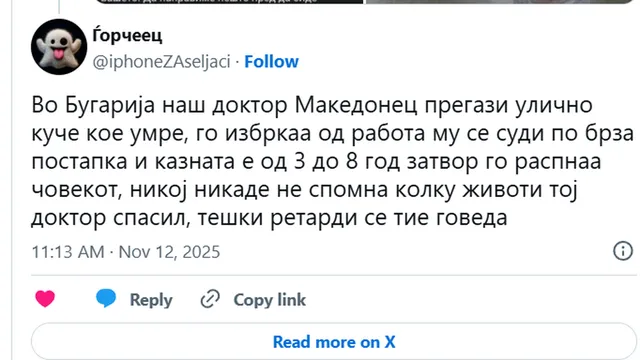 Македонски медии превърнаха инцидента с прегазеното куче в политическа атака срещу България