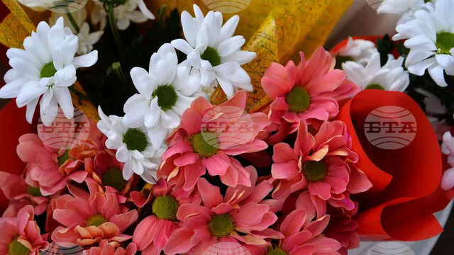 Имен ден на 13 ноември: Кой празнува днес?