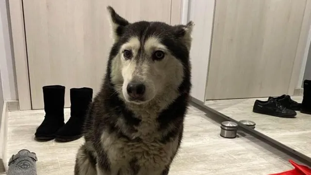 Д-р Ненад Цоневски се яви в полицията: Платил е  гаранция от 5000 лв.