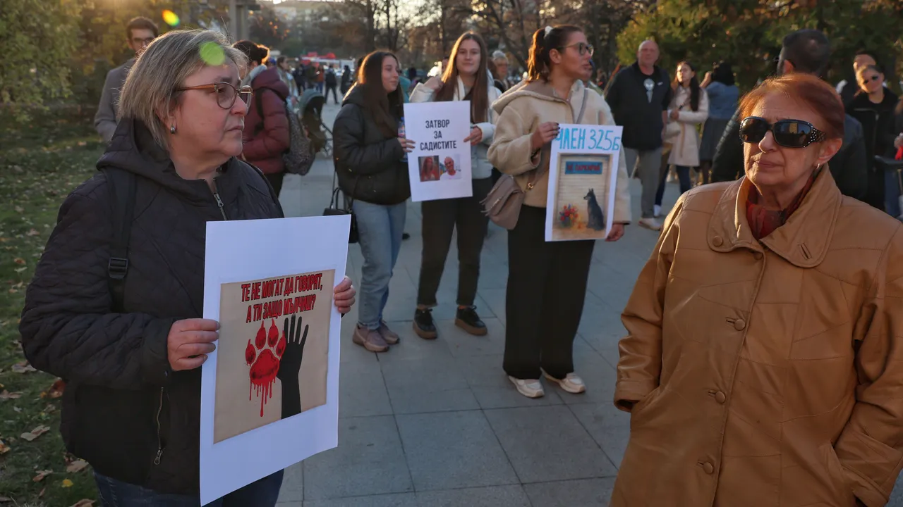 Убийците на животни от Перник се изправят пред съда