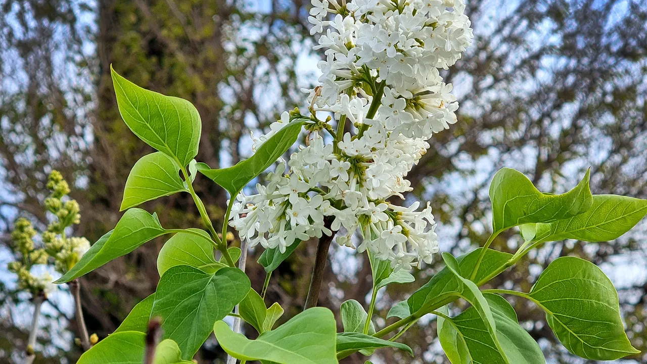 Времето остава предимно слънчево, с мъгли преди обед
