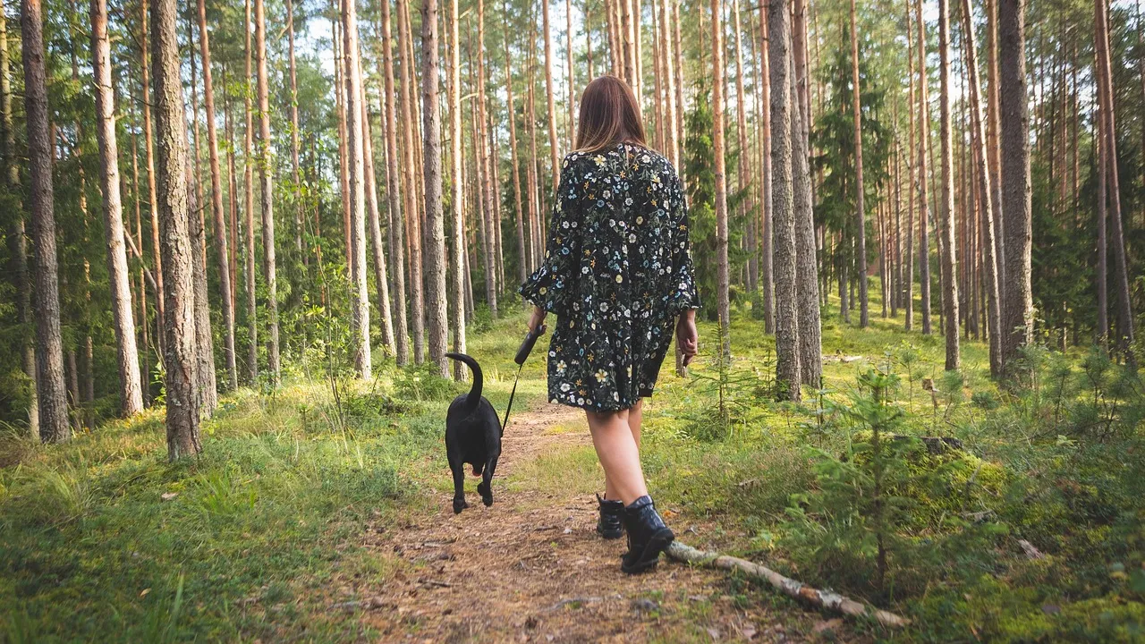 Харвард: Пет часа ходене седмично понижават риска от рак