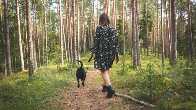 Харвард: Пет часа ходене седмично понижават риска от рак