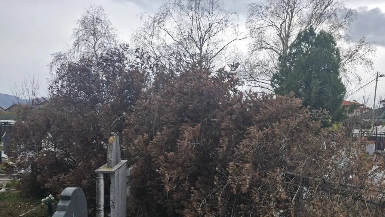 Кметът на Казичене: Ураганът разруши част от гробищния парк