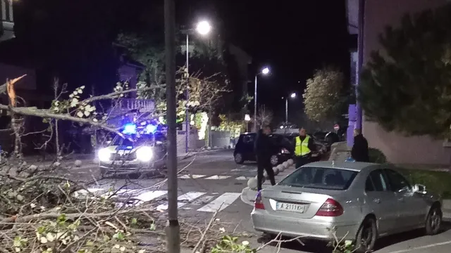 Вятър със 90 км/ч повали дървета в Царево и затвори пътища