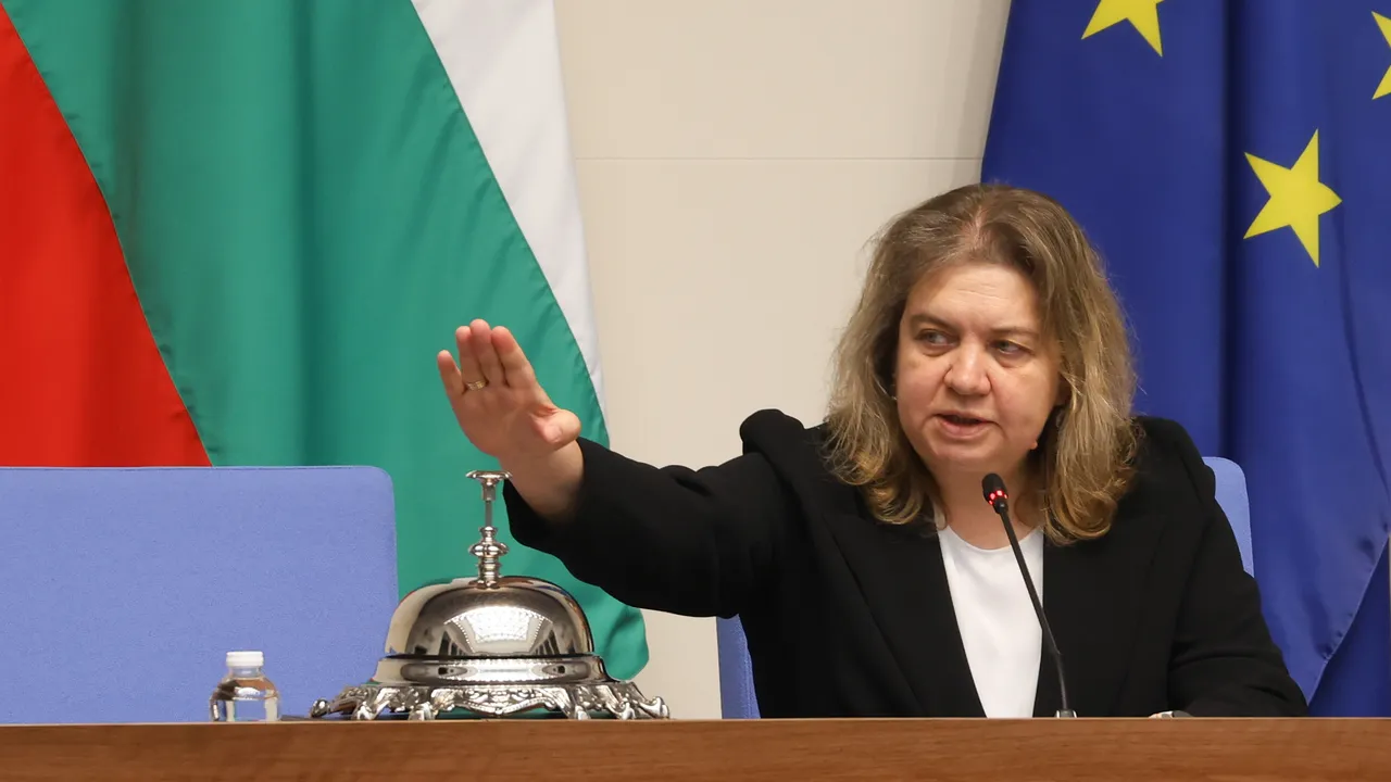 Пиргова, Коларова и Смилов за решението на КС за референдум за еврото