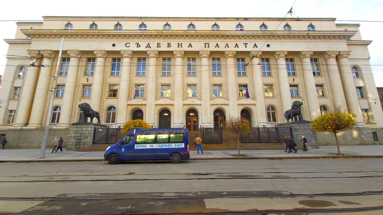 Финални пледоарии по делото срещу Симона Радева