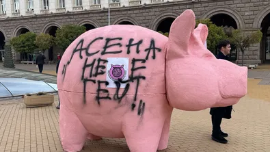 Розовото прасе проговори: ДПС „прати послание“ към Асен