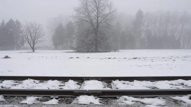 Варшава настоява Беларус да предаде двама украинци, заподозрени в саботаж