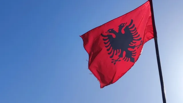 В Тирана се проведе протест срещу случаи на отравяне на котки и кучета