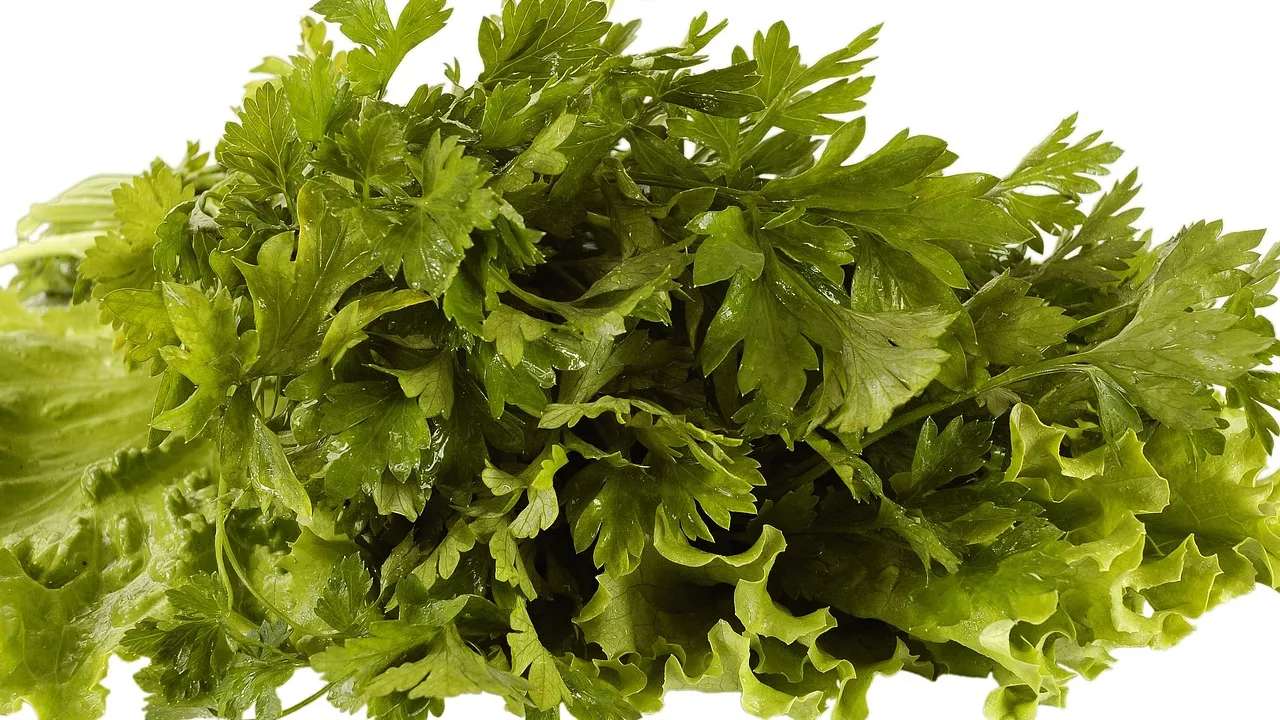 След екзорсистки ритуал - млада жена умря мистериозно